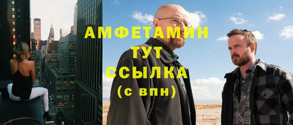 ALPHA PVP Няндома