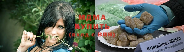 прущие грибы Новозыбков