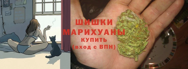 PSILOCYBIN Нязепетровск