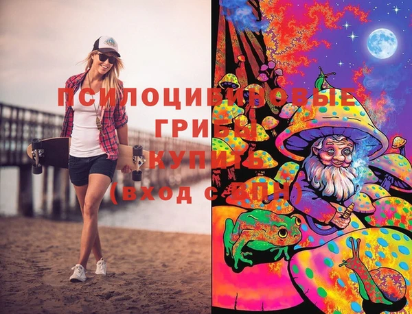 PSILOCYBIN Нязепетровск