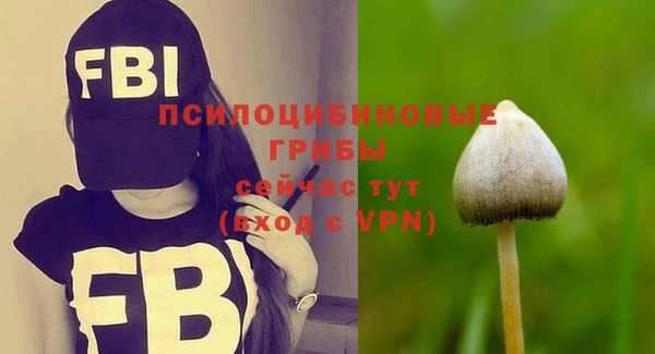 PSILOCYBIN Нязепетровск