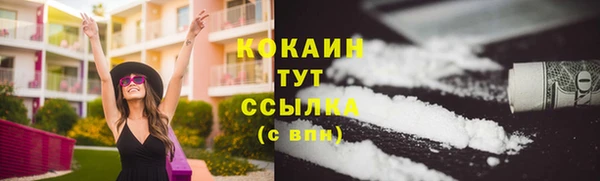 СК Новокубанск