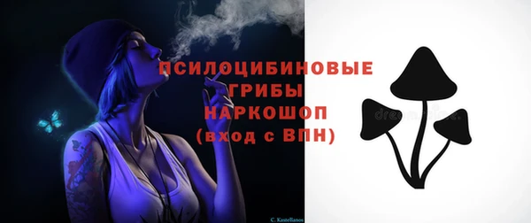 ALPHA PVP Няндома
