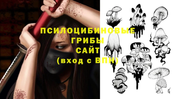 соль ск Нягань
