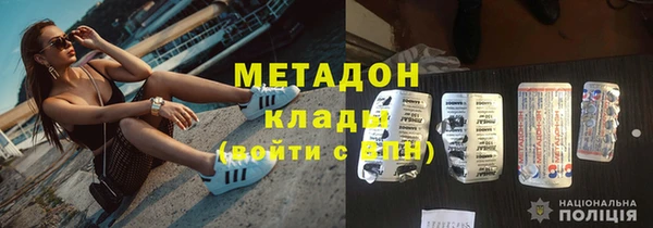 прущие грибы Новозыбков