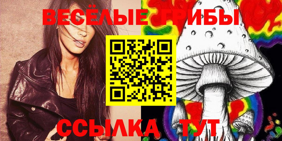Крымск  Псилоцибиновые грибы MAGIC MUSHROOMS  купить   Вход с VPN 